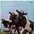 LP Pink Floyd - Atom Heart Mother - Disco de Vinil 1971 - Hm - Imagem 3