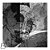 CD Violins - Tribunal Surdo - 2007 - Novo Lacrado - Hm - Imagem 1