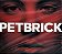 CD Petbrick I - 2021 Novo Lacrado - Hm - Imagem 2