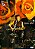 DVD Cassia Eller - Acústico MTV - Novo Lacrado - Hm - Imagem 2