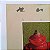 LP Rush - Signals - Disco de Vinil 1982 Encarte Leia - Hm - Imagem 6