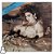 LP Madonna - Like a Virgin - Disco de Vinil - 1985 - Hm - Imagem 1