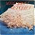 LP Melodias Nupciais - Disco deVinil 1989 - Hm - Imagem 2