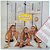 LP Algodão Doce - 1987 - Ser Criança - Com Encarte - Leia - Imagem 4