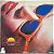 LP Novela - Sol de Verão - Nacional Disco de Vinil 1983 - Hm - Imagem 1