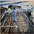 LP Agnaldo Timóteo - Encontro de Gerações - Vinil 1974 - Hm - Imagem 2