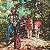 LP Creedence - Green River - Vinil 2025 Novo Lacrado - Hm - Imagem 3