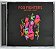 CD Foo Fighters - The Colour And The Shape - 1997 - Hm - Imagem 2