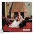 LP Vanusa - 1973 - Manhãs De Setembro - Vinil - Hm - Imagem 1