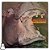LP Discoteca Hippopotamus Vol. 2 - 1975 - Disco Vinil - Hm - Imagem 1