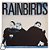 LP Rainbirds - Boy On The Beach - 1987 - Disco de Vinil - Hm - Imagem 1