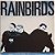 LP Rainbirds - Boy On The Beach - 1987 - Disco de Vinil - Hm - Imagem 2