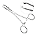 Pinça Allis 5X6 Dentes Para Intestino 25cm - Imagem 1