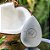 CocoEsponja Sustentável e EcoFriendly Para Base (PF-936) - Imagem 4