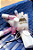 My Dream Gloss StiLuh - Imagem 3