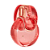 Omnia Coral eau de Toilette - Bvlgari - Imagem 3