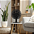 Ventilador De Mesa Elgin Breeze Air Preto 40cm 7 Pás - Imagem 9