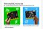 BBC Microbit Development Board, Micro: bit V2 - Imagem 4