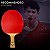 Raquete Loki Dragon 10 Estrelas – Profissional, 5 Madeiras + 2 Carbono, FH Rxton 9 & BH Rxton 7 - Imagem 1