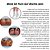 Meia De Puro Gel Revita-skin Longa SG42 Orthopauher - Imagem 2