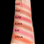 Blush compacto 5g, Fand - Bella Clau - Imagem 3