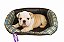 Cama e Toca Burberdog Tam. M - Imagem 1