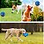 Bola Crazyball de Brinquedo para Cachorro TEX 1301 - Imagem 3