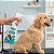Kit 5 Banho a Seco Higienizador para Cães e Gatos 500ml Intensive Care Pet.U - Imagem 5