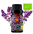 Lavanda Fina Orgânica 10ml(Lavandula angustifolia) - Imagem 1