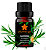 Alecrim QT Cânfora 10ml (Rosmarinus officinalis) - Imagem 1