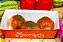 Nhoque de Batata Doce, Recheado com Frango Cremoso e Molho de Tomate Natural - 200gr - Imagem 1