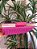 Clutch Palha Pink - Imagem 2
