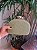 Clutch  Palha Verde Mint - Imagem 1