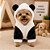 Roupa para Pet Panda - Branco - Imagem 2