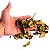 Pot Pourri Flores e Folhas Secas Aromatizadas 60g - Limão: Amarelo - Imagem 2