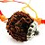 Pingente de Rudraksha com Cordão - Shiva - Imagem 2