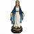 Estátua Nossa Senhora das Graças 15cm - Imagem 1