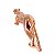 Estátua Pantera (Rosé) 22cm - Imagem 3