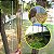 Incenso Chama Dinheiro de Jardim Zed Black - Grande Prosperidade - Imagem 3