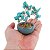 Mini Bonsai de Pedra Turquesa 10cm - Proteção, Comunicação e Alinhamento Espiritual - Imagem 3