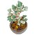 Mini Bonsai de Quartzo Verde 10cm - Cura Energética, Vitalidade e Renovação Interior - Imagem 2