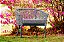 CONJUNTO CECINA - DIBRIANZA - Imagem 1