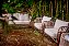 CONJUNTO GRAPPA - DIBRIANZA - Imagem 2
