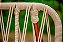CONJUNTO GRAPPA - DIBRIANZA - Imagem 5