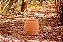 PUFE SCALA - DIBRIANZA - Imagem 1