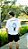 T-SHIRT SAVED (OFF WHITE) - Imagem 2