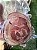 PORCHETTA DEFUMADA COM GELÉIA DE ABACAXI COM PIMENTA - Imagem 2