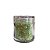 Potinho de Glitter Verde Claro - Imagem 1