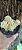 Sedum clavatum pote 11 - Imagem 1