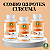 CÚRCUMA 500mg 60 cápsulsa - Fit Mix - Imagem 1